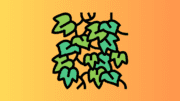 A drawing of kudzu