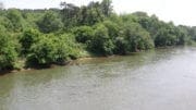 bank of Chattahoochee River