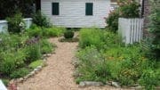 Garden at the root house