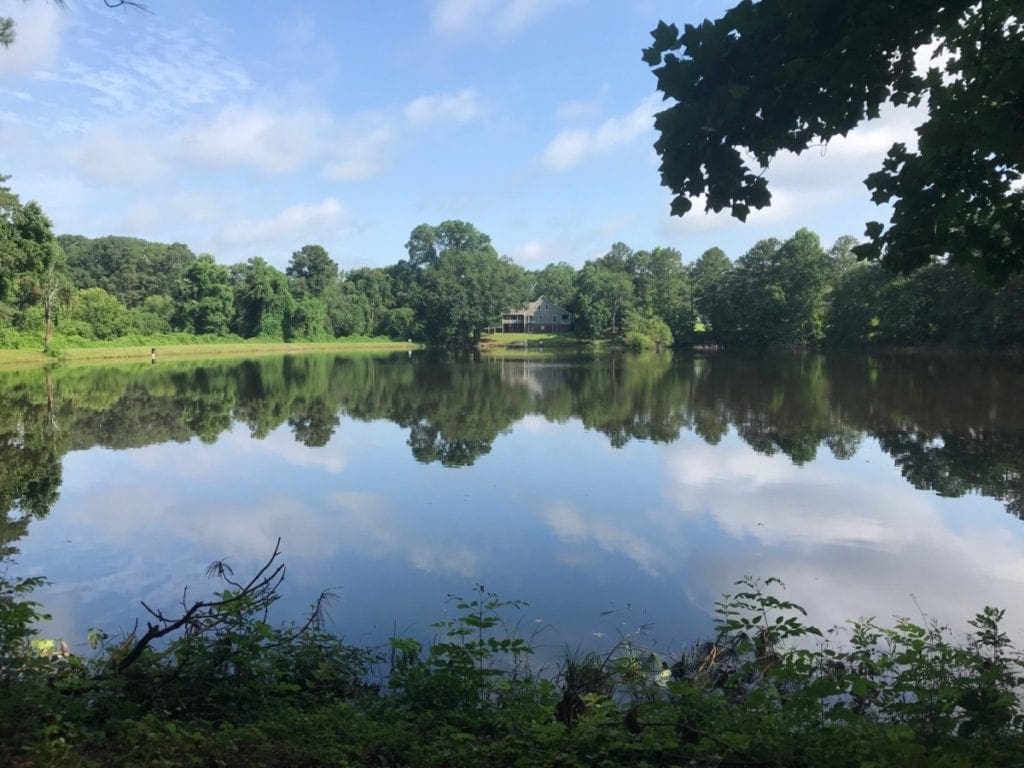 Lake at the new park on Ebenezer Road (photo by Rebecca Gaunt)