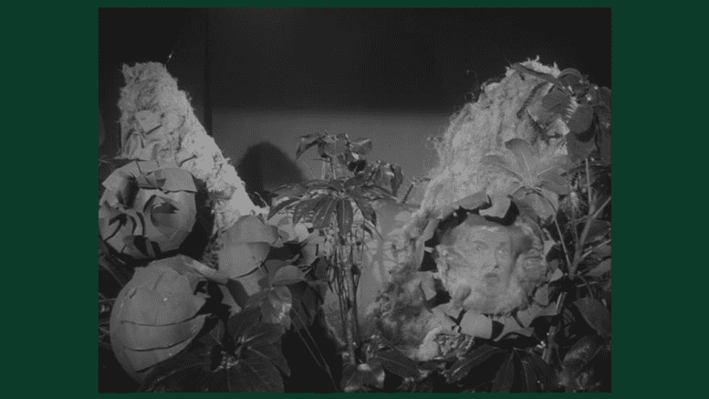 Audrey II from the 1960 low-budget cult classic movie Little Shop of Horrors (public domain)