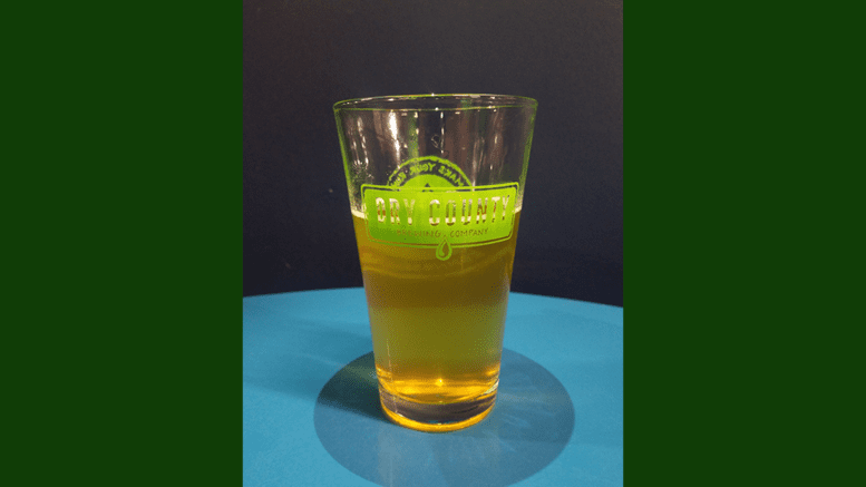 Dry County Brewing Company glass (photo by Alex Patton)