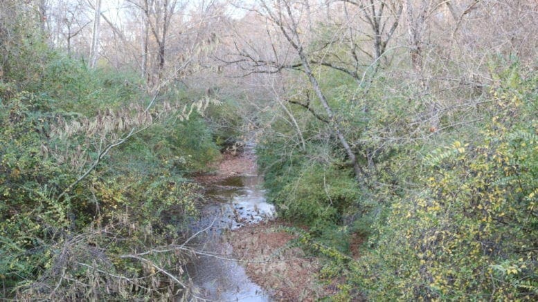 Nickajack Creek in video update water reclamation facility(photo by Larry Felton Johnson)