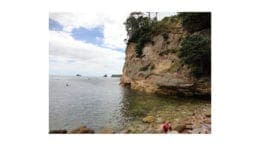 Coastline on the Coromandel Peninsula in New Zealand