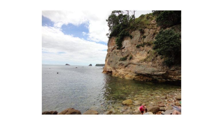 Coastline on the Coromandel Peninsula in New Zealand