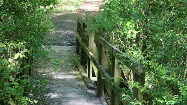 Bridge at the A.L. Burruss Nature Park (photo by Larry Felton Johnson)