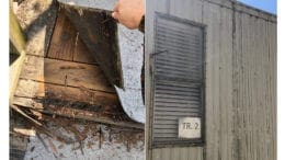 Left: deteriorating steps on Eastvalley Elementary School trailer, Right: exterior shot of trailer siding (photos by Ellen Sauve, used with permission)