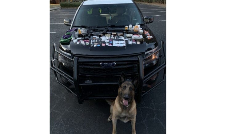 Canine officer Atos with the drug haul spread on a Marietta police car