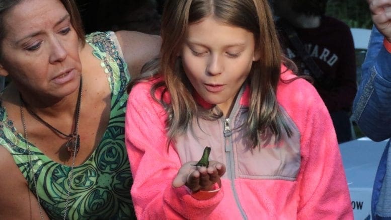 Child holds hummingbird