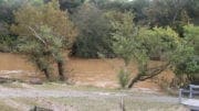 flooding behind Riverview Landing