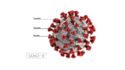 image of COVID-19 virus showing coronas with labels depicting each part