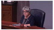 JoAnn Birrell seated in BOC meeting room