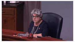 JoAnn Birrell seated in BOC meeting room