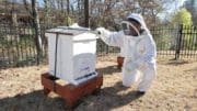 Man in beekeeping gear kneels next to a behive