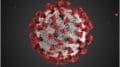 an image of a coronavirus