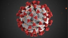 an image of a coronavirus
