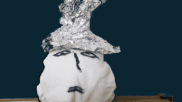 sock puppet with tin foil hat