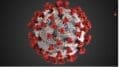 image of coronavirus with "coronas" or crowns extending outward from a sphere