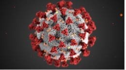 image of coronavirus with "coronas" or crowns extending outward from a sphere