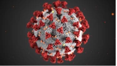 image of coronavirus with "coronas" or crowns extending outward from a sphere