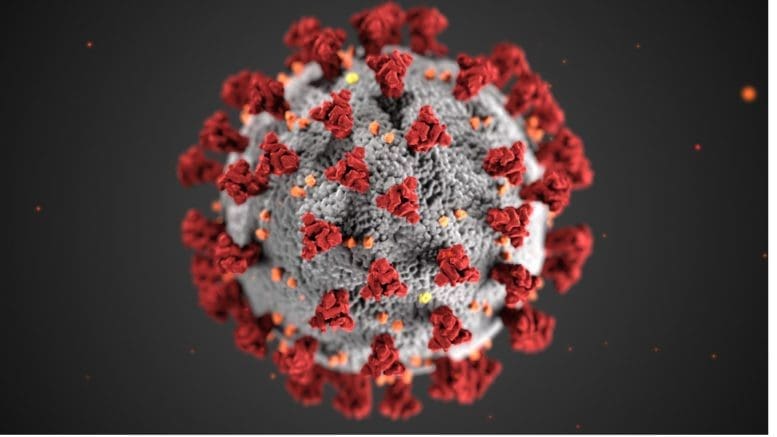 image of coronavirus with "coronas" or crowns extending outward from a sphere