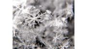 closeup of snowflake