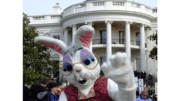 Person costumed as Easter Bunny with vest and big round glasses in front of White House