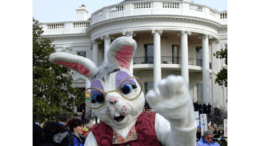 Person costumed as Easter Bunny with vest and big round glasses in front of White House