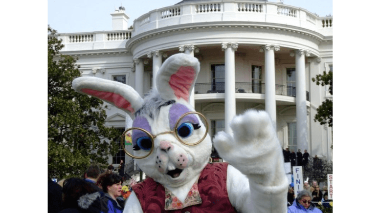 Person costumed as Easter Bunny with vest and big round glasses in front of White House