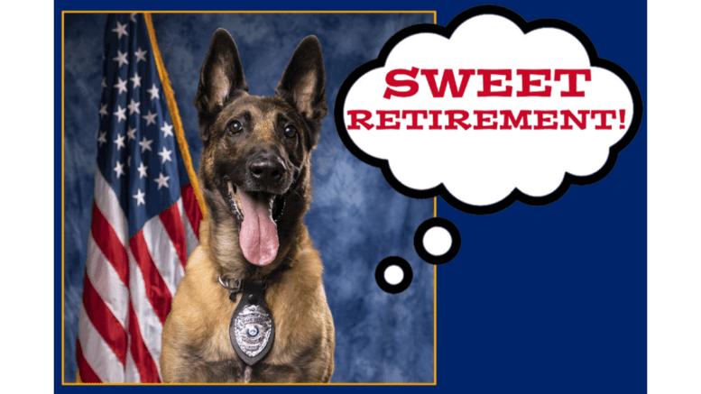 A Belgian shepherd with the thought balloon "Sweet Retirement"