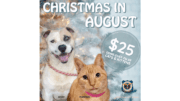 Dog and Cat in promo about $25 adoption deal in August
