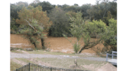 flooding behind Riverview Landing