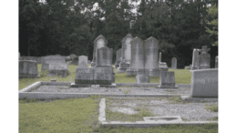 A cluster of headstones in Collins Springs Cemetery
