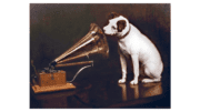 The RCA pitbull listening to a victrola