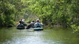 Kayakers on Okefenokee canal