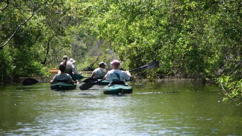 Kayakers on Okefenokee canal