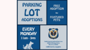 A sign stating "Parking Lot Adoptions. Free Adoption of Featured Pets. Every Monday 11 a.m. to 3 p.m.