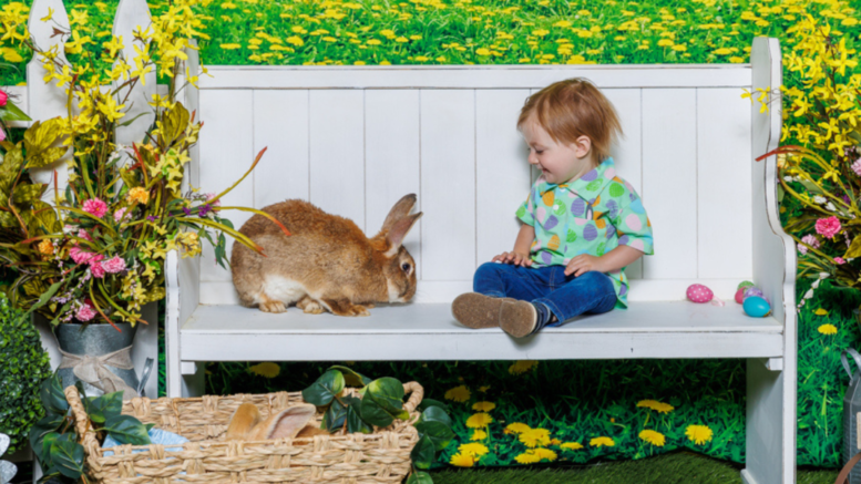 A smiling child gazes at a live bunny seated beside on a bench