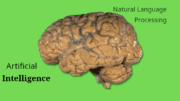 Image of the brain from National Institutes of Health, retrieved from Wikimedia Commons https://upload.wikimedia.org/wikipedia/commons/0/0a/Human_brain_NIH.png