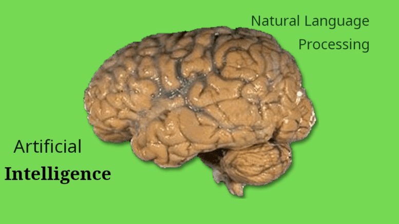 Image of the brain from National Institutes of Health, retrieved from Wikimedia Commons https://upload.wikimedia.org/wikipedia/commons/0/0a/Human_brain_NIH.png