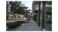 A sidewalk lined with storefronts in The Battery