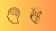 Drawing of a brain alongside drawing of a heart