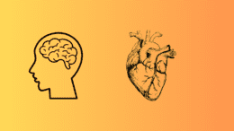 Drawing of a brain alongside drawing of a heart
