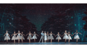 A long row of ballet dancers with a man and woman at the center