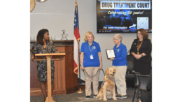 Several people gather around a comfort dog