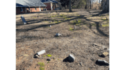 Damaged headstones