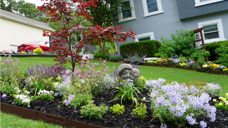 Photo of a colorful garden