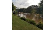 A view of the Chattahoochee after Hurricane Helene that shows trees in the middle of the now-widened river