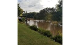 A view of the Chattahoochee after Hurricane Helene that shows trees in the middle of the now-widened river