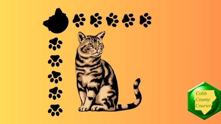 Drawing of a cat surrounded on two sides with paw prints